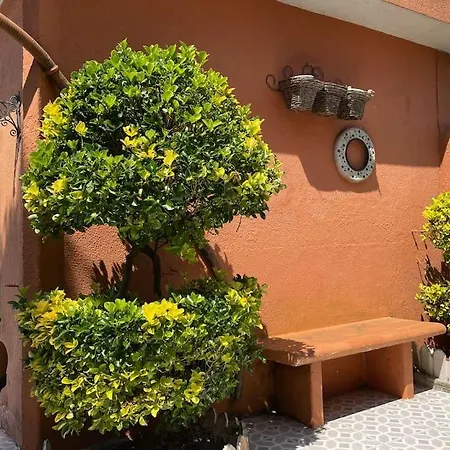 Nucha Holiday home *